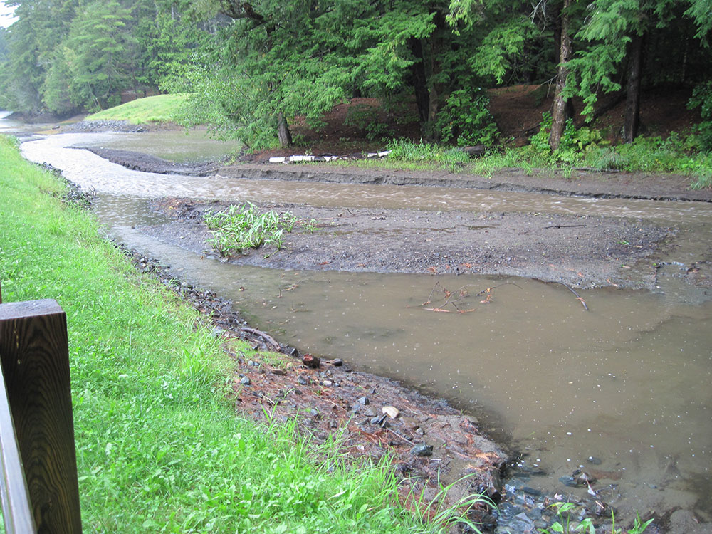 Camp Brook flowing in