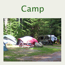 Go Camping